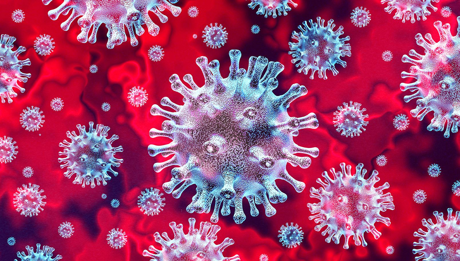 coronavirus blue-red web2